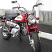 中古車入荷情報! 6V仕様モンキー & スーパーカブ!