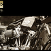 体格による乗り味を考えて!!! 「日本仕様のHARLEY-DAVIDSON」