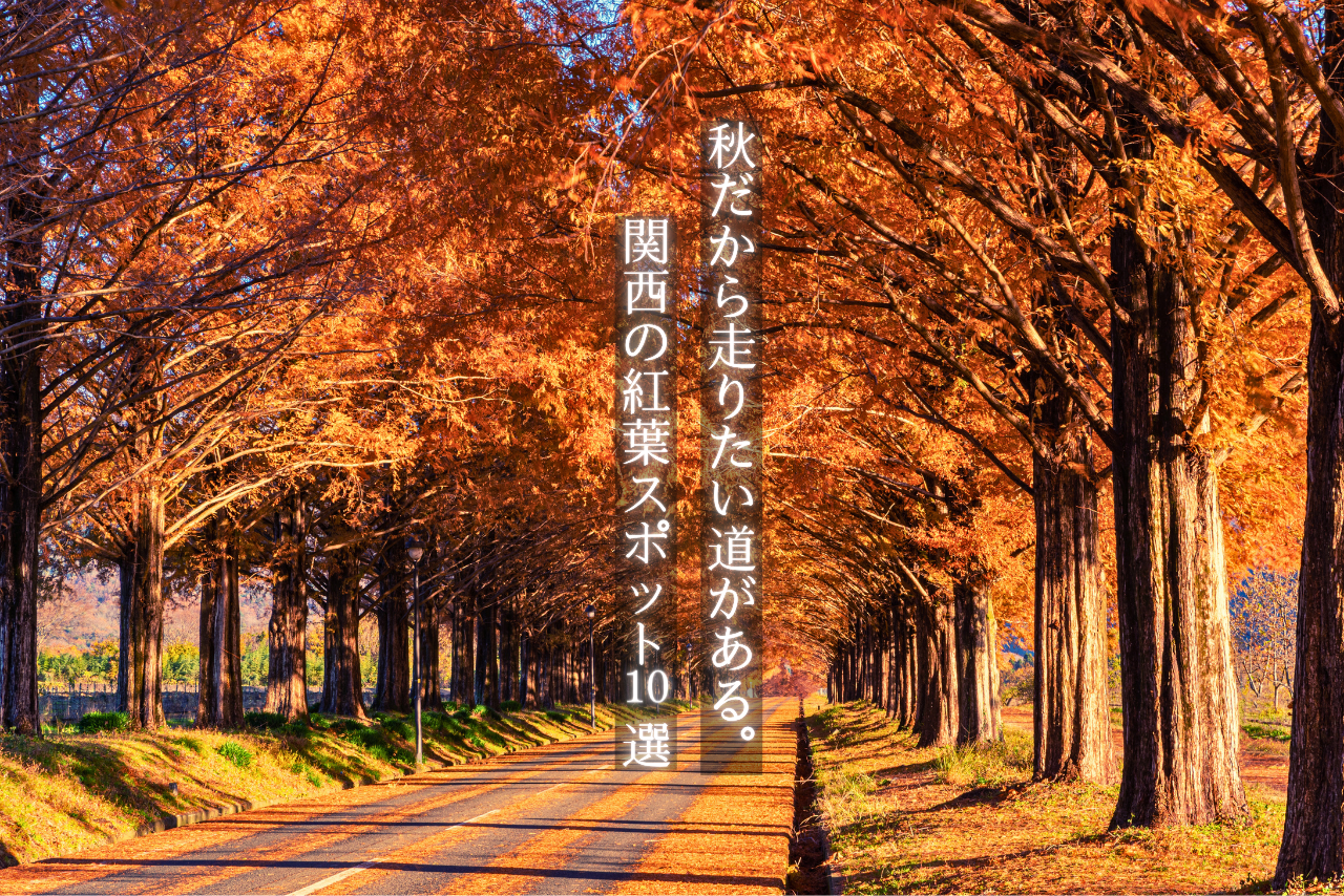 関西の紅葉ツーリングスポット10選｜絶景ロード＆名所を巡る秋のおすすめルート