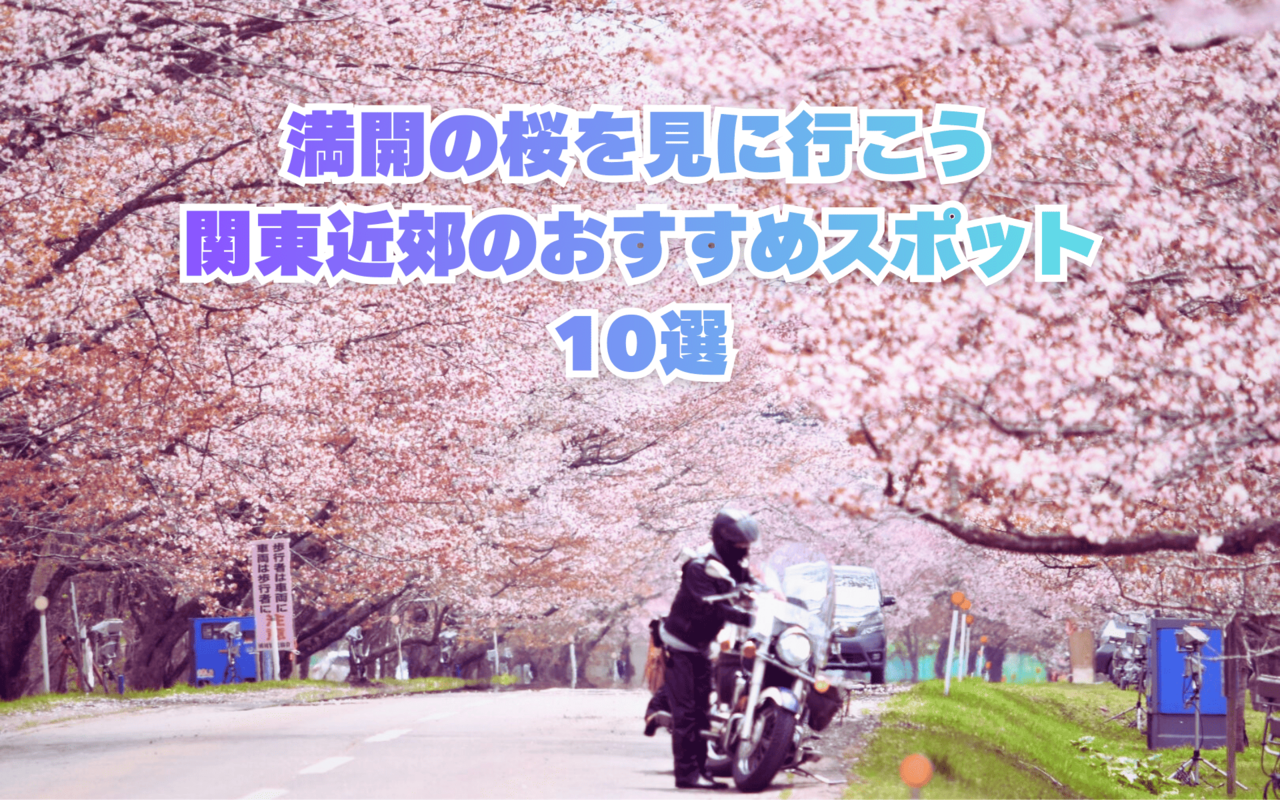 【2026年】関東近郊のおすすめお花見ツーリングスポット10選｜春に走りたい桜の名所を厳選