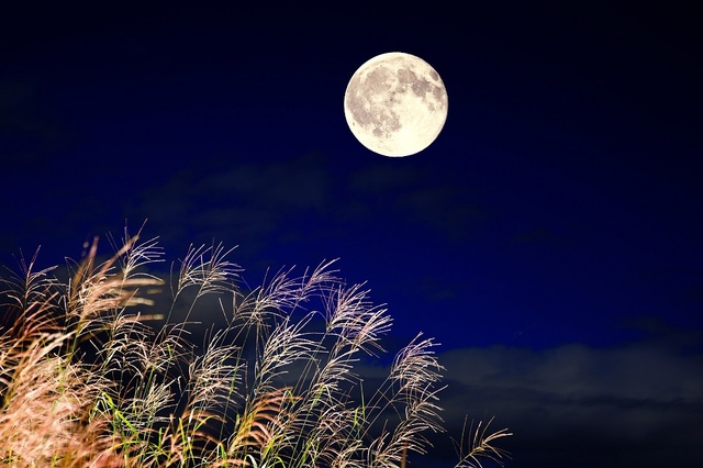 デートにおすすめ！中秋の名月が見られるお月見スポットをご紹介！