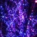 平成最後のクリスマスは美しい夜景を眺めながら――【東海地方編】