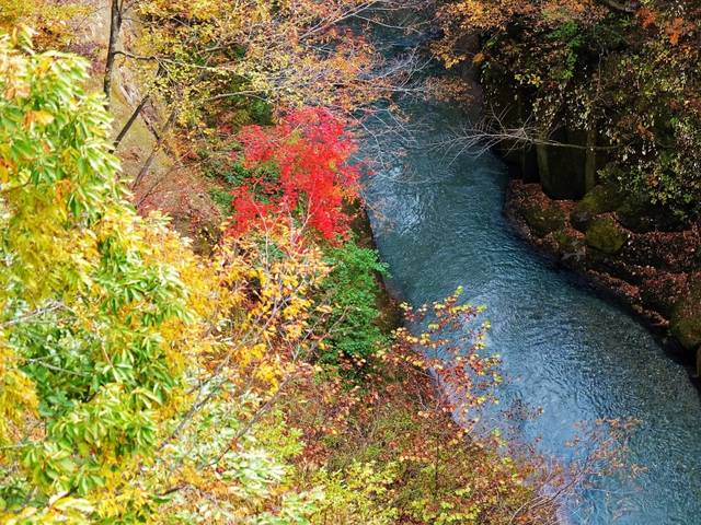 童心に返る秋の一日【福島】雪割渓谷の紅葉 (14692)
