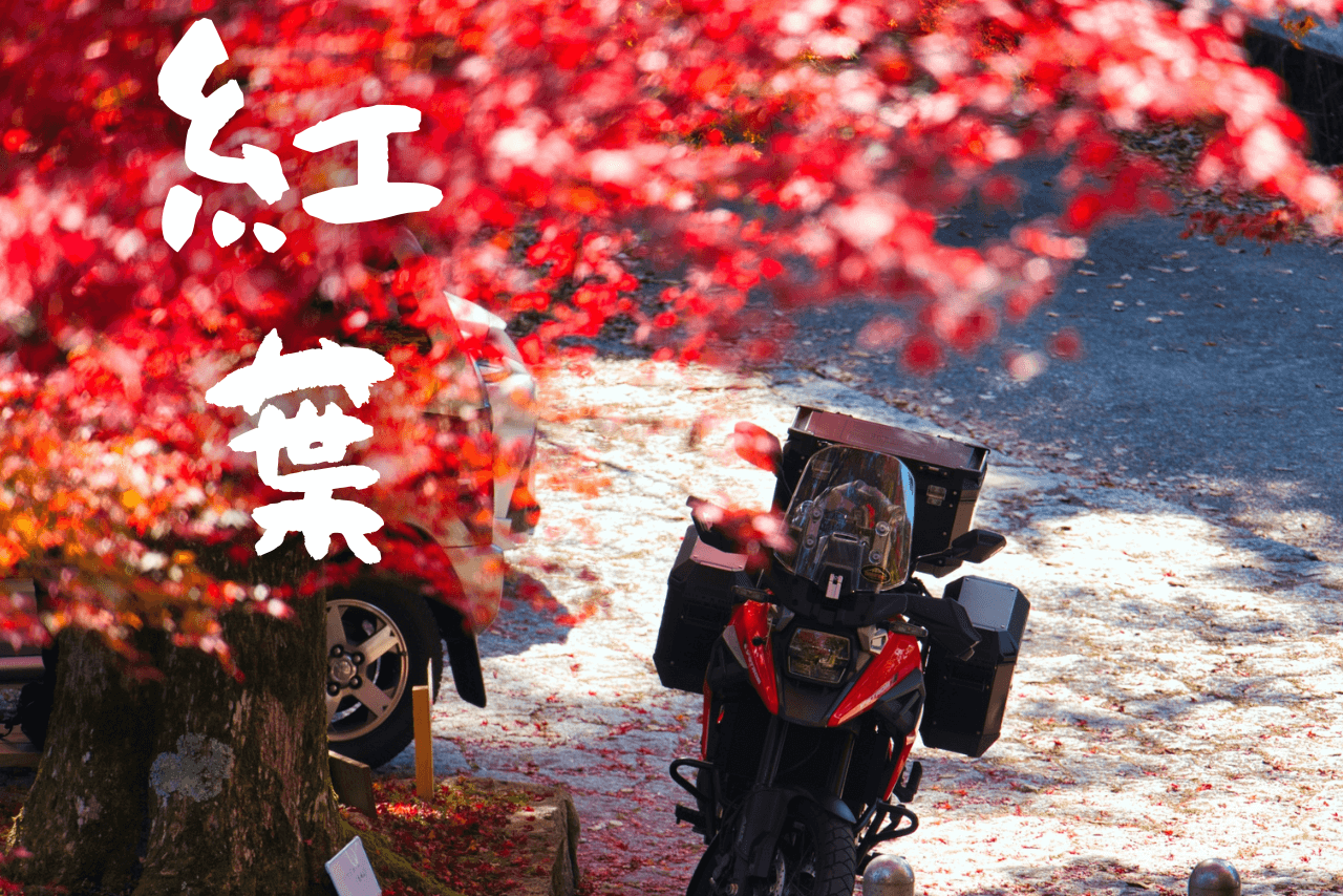 【1都6県】秋の紅葉ツーリングスポット7選！【東京・神奈川・千葉 etc】