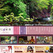 栃木県 湯西川温泉 旅館|彩り湯かしき 花と華|公式HP予約特典