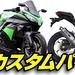 カワサキ Ninja250（KAWASAKI ）カスタムパーツ-ナップス -RidingArt NAP'S-