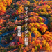 関連記事：関東の紅葉ツーリングスポット10選｜秋の絶景を楽しむバイク旅【1都6県】 - NAPS-ON マガジン