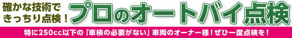 12ヶ月点検画像.jpg
