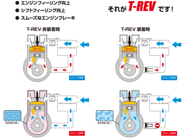 T-REV.png